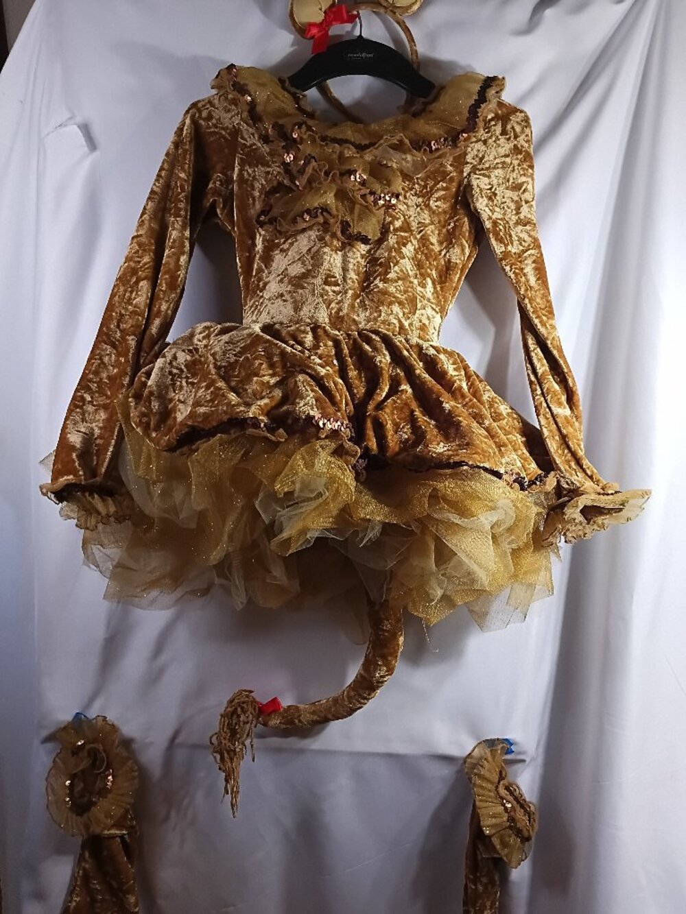 Costume Girls Lion Costume Size 6-8